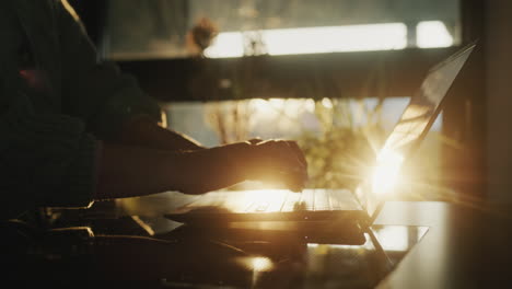 a woman uses a laptop at the window where the sun sets. only the hands are visible in the frame