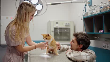 a blonde veterinarian girl communicates with a guy who is the owner of a red cat during an examination in a veterinary clinic