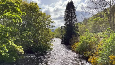 Footage-of-a-free-flowing-stream-surrounded-by-trees-and-bushes-in-Wicklow,-Ireland