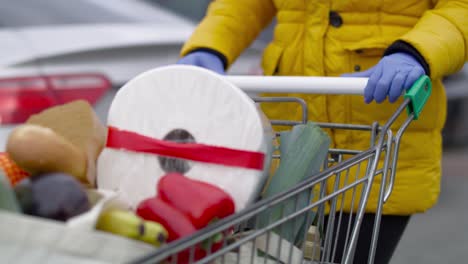 Close-up-video-of-person-walking-with-shopping-basket