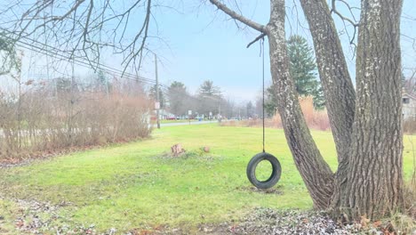 a tire swing with a small breeze as a car passes by