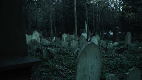 gravestones overgrown in a dark cemetery