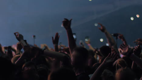 excited fans dancing at the concert