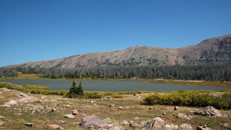 stunning lower red castle lake up in the high uinta national forest with barren mountains, pine trees, and small foliage up a ten mile backpacking trail between utah and wyoming