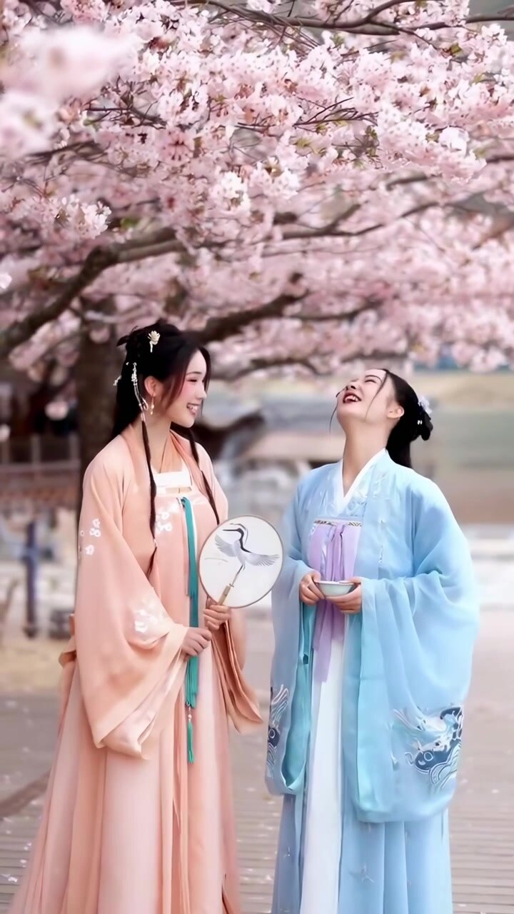 Due donne in abiti tradizionali Hanfu sotto alberi di ciliegio in fiore