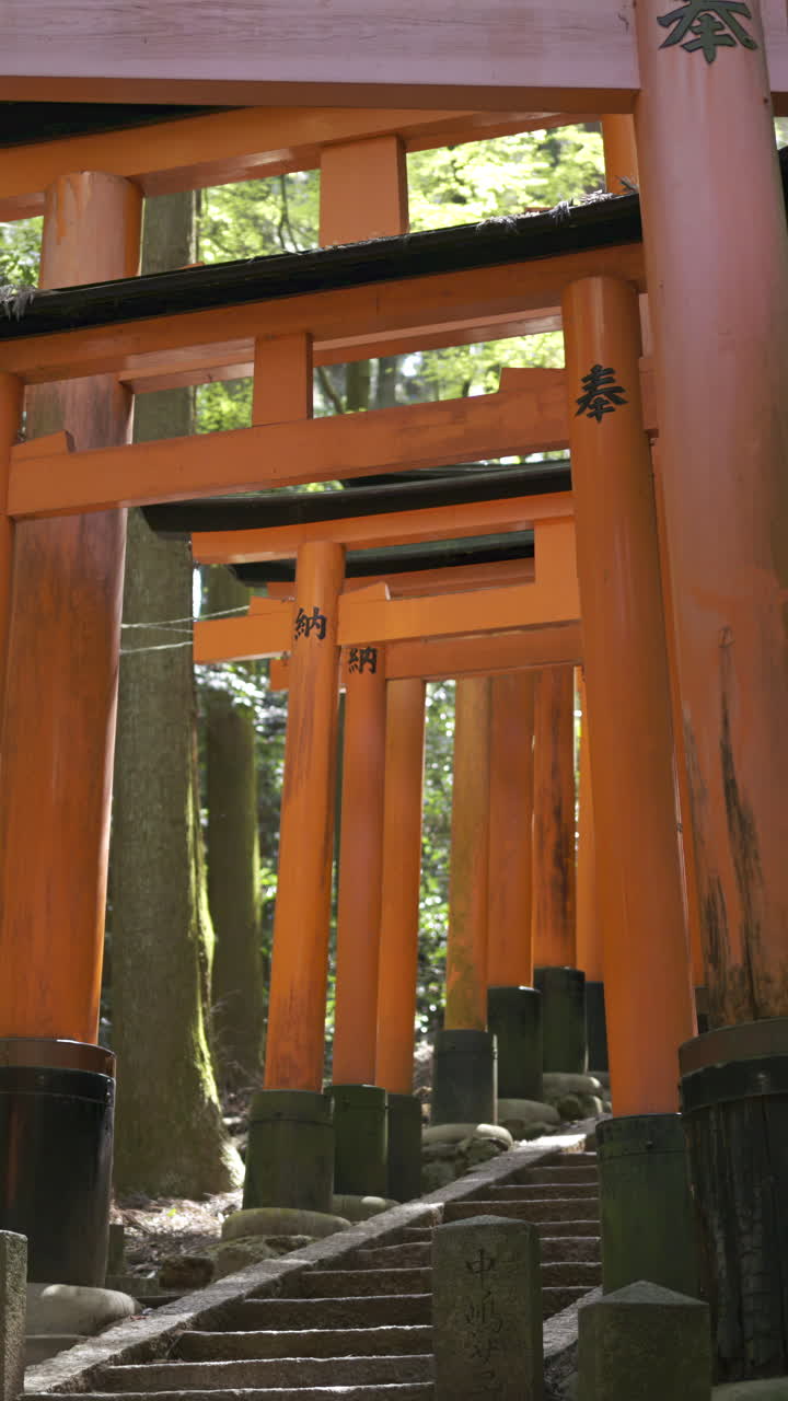 Exploring the iconic torii gates of Fushimi Inari shrine in Kyoto, Japan, amid lush nature on a tranquil day
