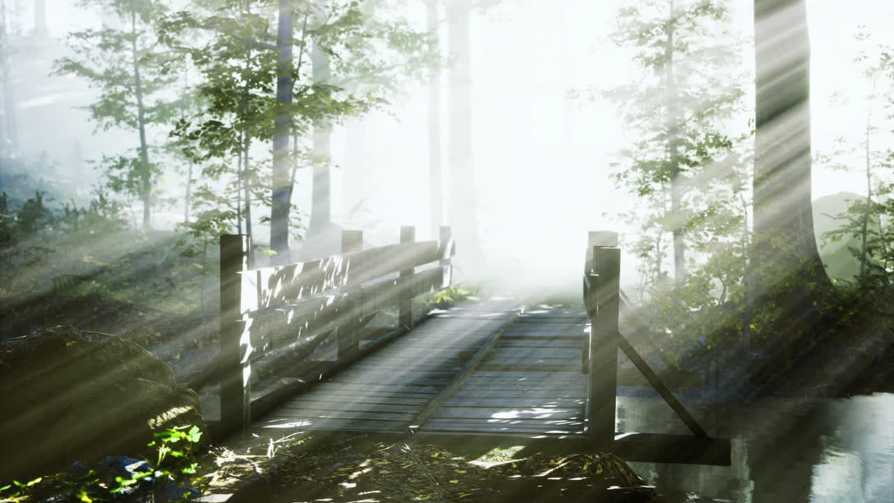 Misty morning light illuminates a wooden bridge in a tranquil forest setting