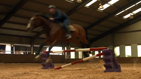 man riding horse around paddock