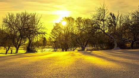 Shadows-move-across-the-snow-as-the-golden-and-glowing-sunshine-peeks-behind-the-forest-trees---time-lapse