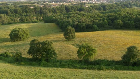 aerial view of green field full of yellow wildflowers with city surrounded by forest with houses in background