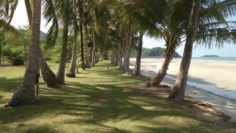 dolly footage of palm trees on grassy bank with tropical beach and island