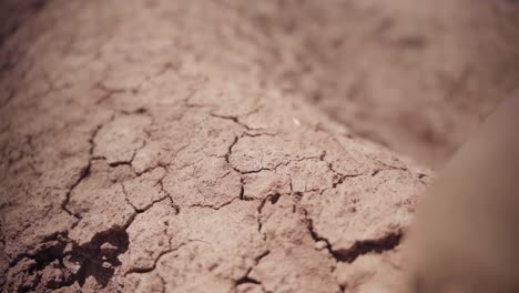 cracking dry ground on the forest deserts of colombia