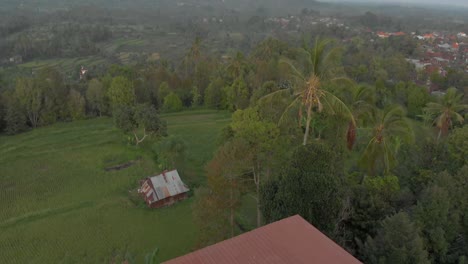 Campos-De-Arroz-Hd-4k-bali-2018