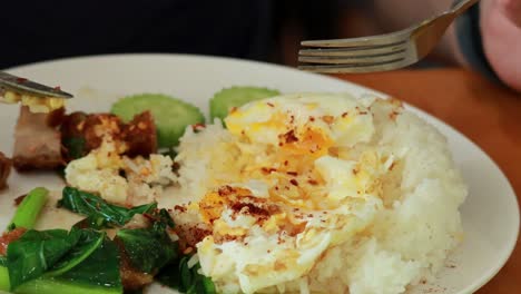 arroz al estilo tailandés con carne de cerdo, huevo y verduras