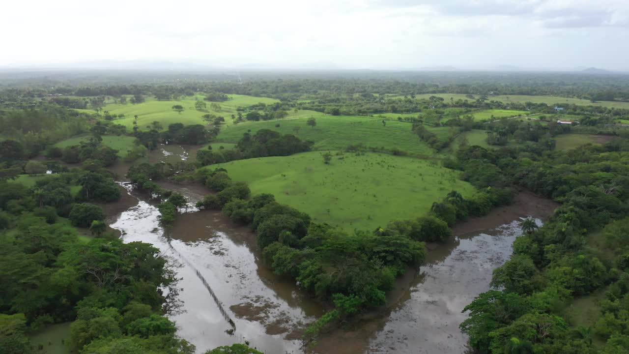 vuelo de baja altura en los humedales de ozama, hermosa vegetación, río con aguas marrones, día claro