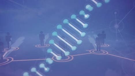 animation of network of connections with people icons and dna strand