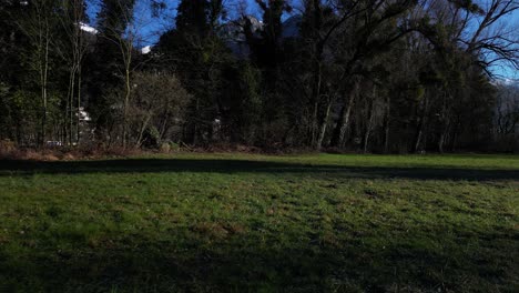 Low-dolly-along-grassy-meadow-with-tree-shadows-and-Lake-Walen-mountains-in-backdrop