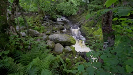 Vista-Panorámica-De-Un-Arroyo-O-Río-En-El-Bosque-En-El-Parque-Nacional-Del-Distrito-De-Los-Lagos,-Cumbria,-Inglaterra-1