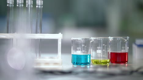 lab worker put test tubes rack on laboratory table. laboratory glassware