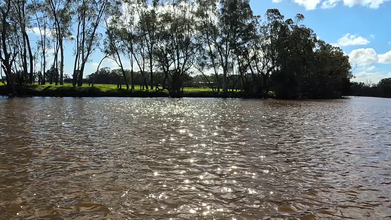 Fast boat races across river during Avon Descent, narrowly missing bird on the water's surface