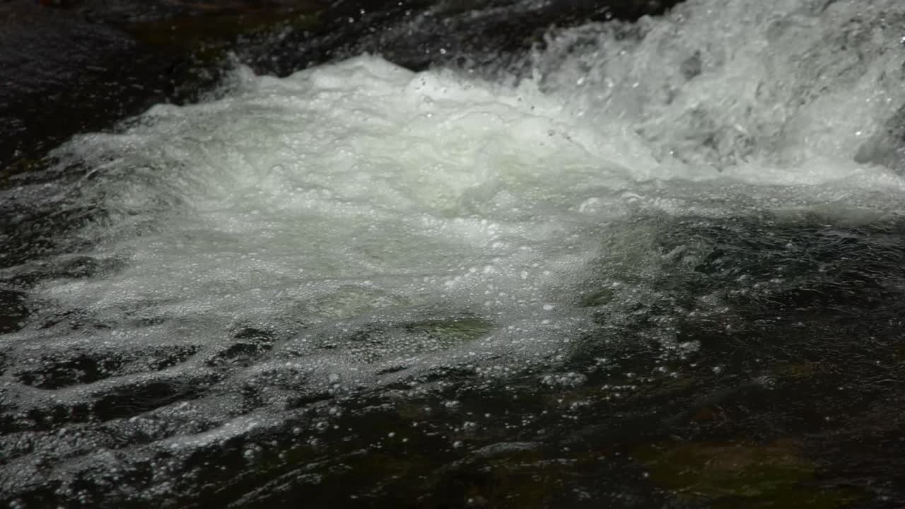 Un primo piano statico cattura rapide di acqua bianca schiumeggiante che scorrono attraverso un fiume tropicale.