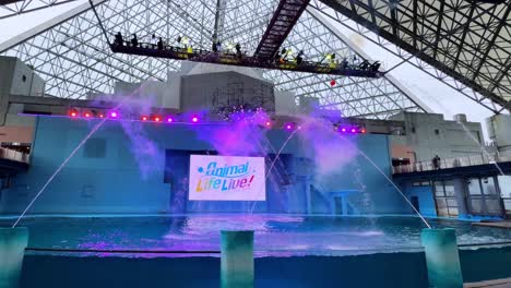 colorful stage show at tokyo aquarium with water sprays and lights under a glass roof