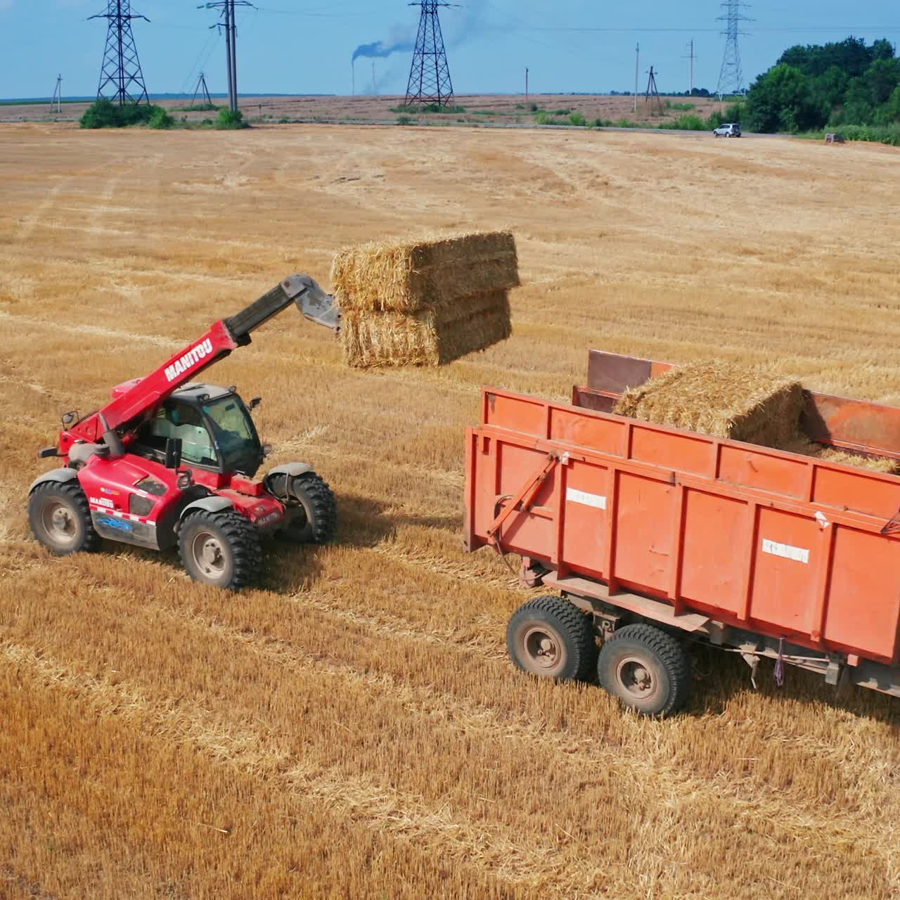 Industrial golden wheat big combine. Summer yellow field farming by tractor