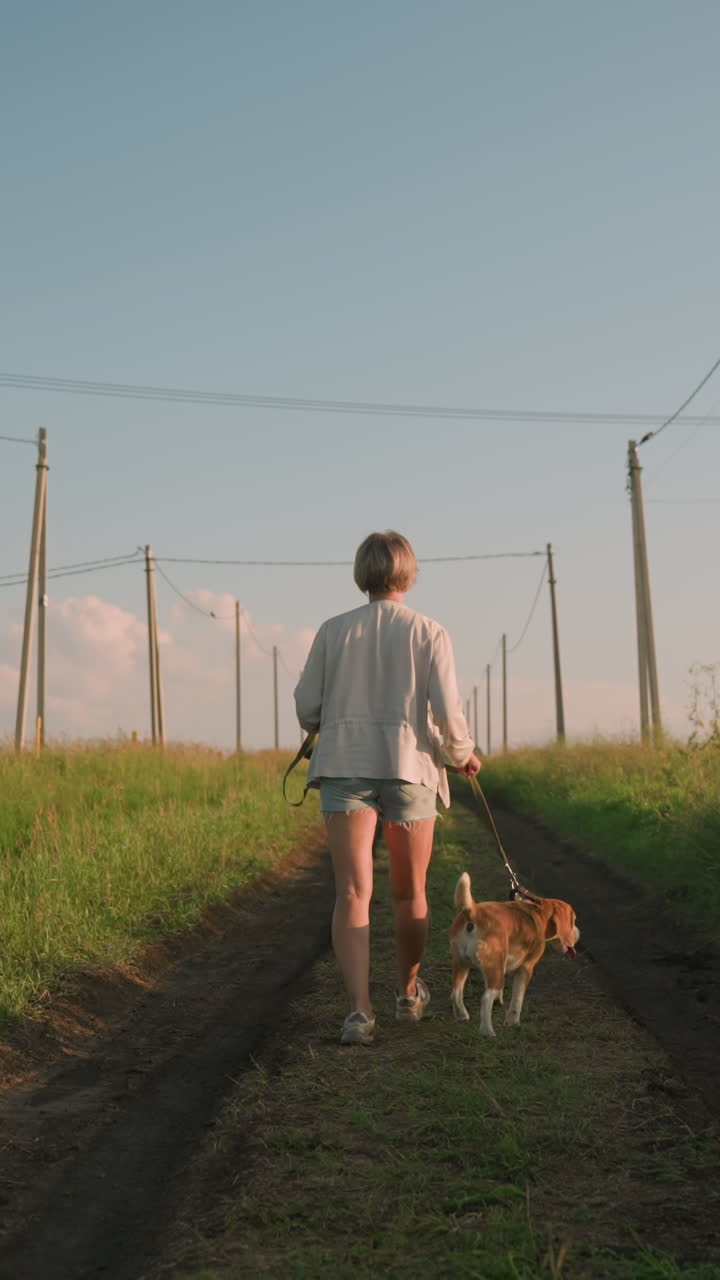 vista trasera de una mujer caminando con un perro por un camino de tierra alineado con postes eléctricos, sosteniendo una correa mientras ambos pasean por un campo rural cubierto de hierba bajo la brillante luz del sol, edificios distantes visibles en el fondo