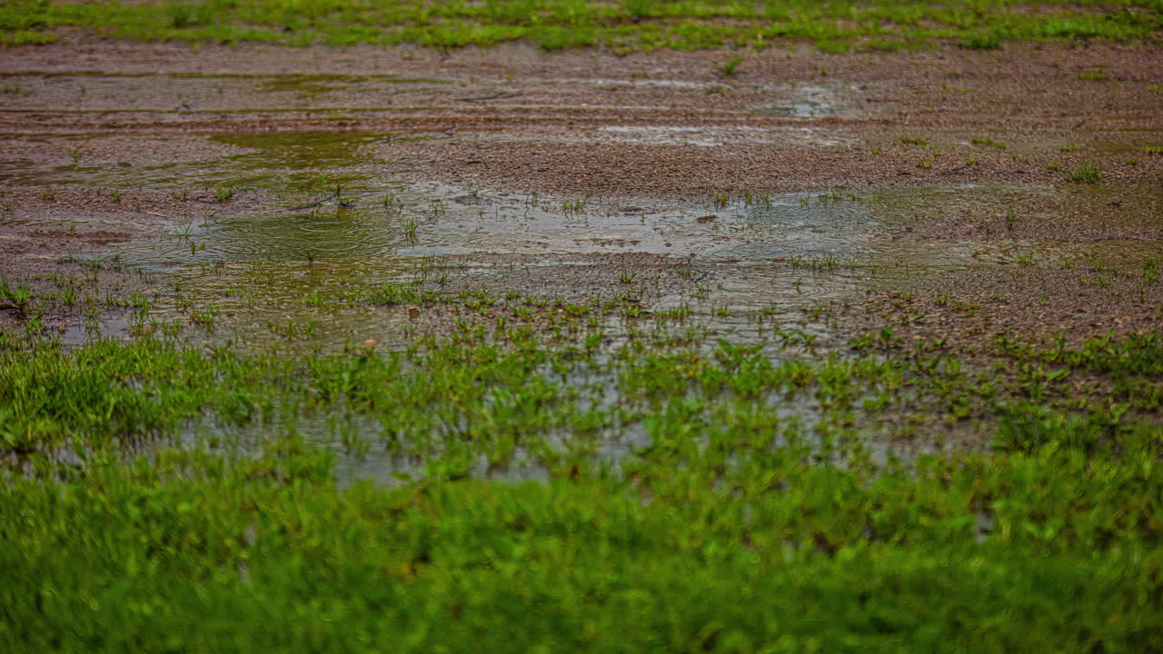 fotografía de cerca de las gotas de lluvia que caen en el suelo y la hierba en un día de lluvia