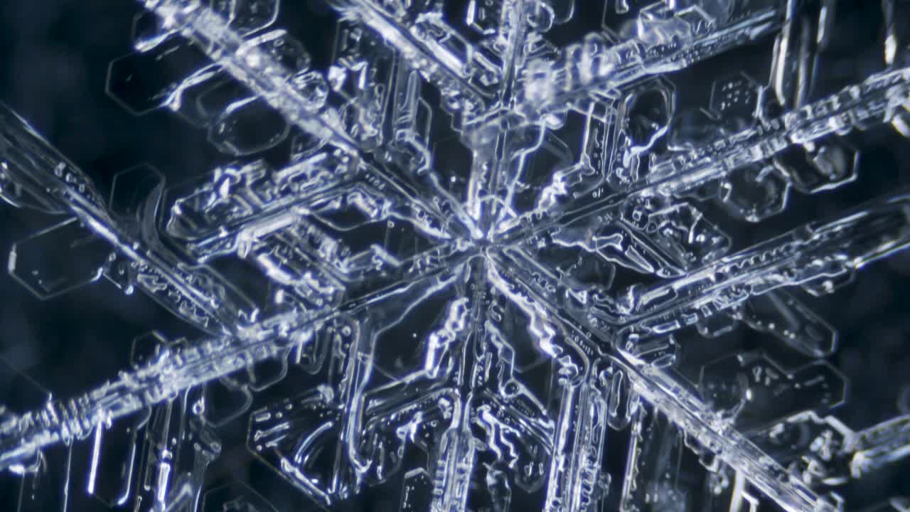 dendrita estelar de cristal de hielo de copo de nieve bajo el microscopio