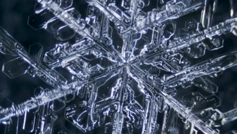 Snowflake-ice-crystal-stellar-dendrite-under-microscope