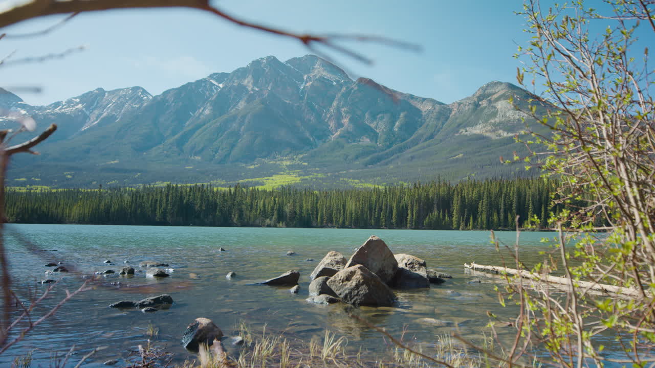 hermoso lago piramidal y naturaleza montañosa en el parque nacional de jasper - ramas borrosas en primer plano, deslizador revela