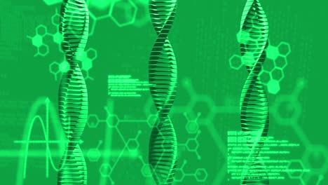 Animation-Des-DNA-Strangs-Und-Der-Datenverarbeitung-Auf-Grünem-Hintergrund