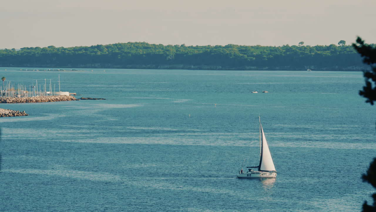 Single sailboat moving across calm blue water under clear sky | Premium ...