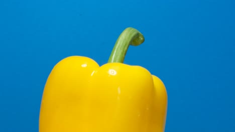 macro shot of a yellow bell pepper rotating on a white background. yellow fresh pepper close-up. 4k video
