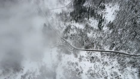 Antena-Adelante-Encima-Caminos-De-Montaña-Nieve-Pinos-Niebla-Niebla-Invierno