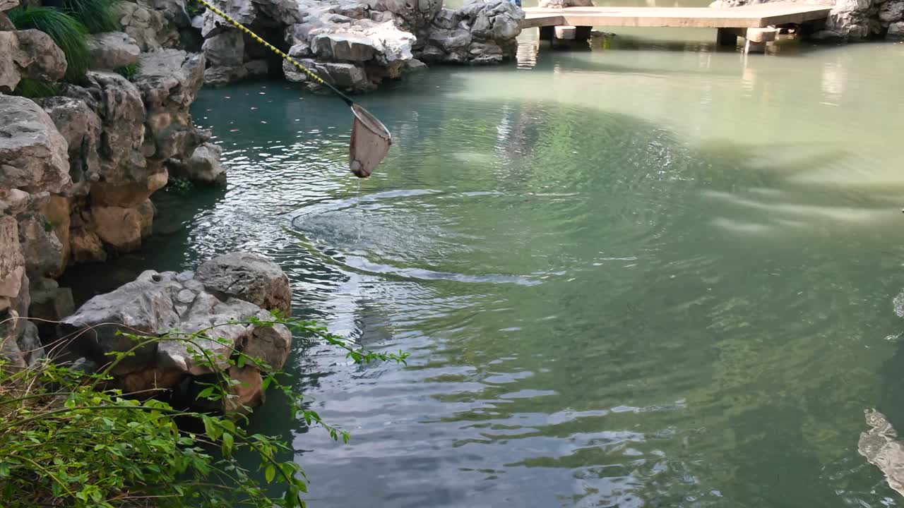 Long-handled net gently cleaning leaves and debris from calm green pond surrounded by taihu rocks in famous Yu Garden Shanghai