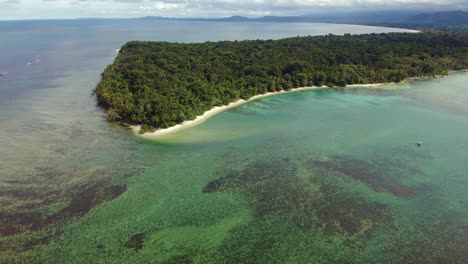 bosques de palmeras tropicales bordean playas doradas, hermosos arrecifes de coral, cahuita, costa rica, panorama aéreo