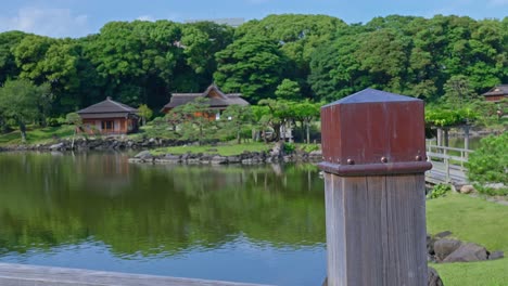hermoso jardín tradicional japonés y estanque de tokio