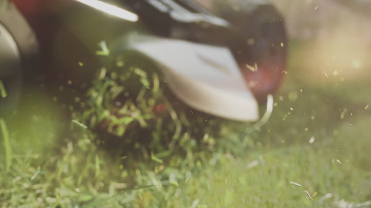 cortadora de césped para cortar césped