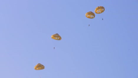 several paratroopers descend under golden parachutes, scattered across the sky during a military training exercise at ginkelse heide, netherlands (ede). captured against a bright blue background