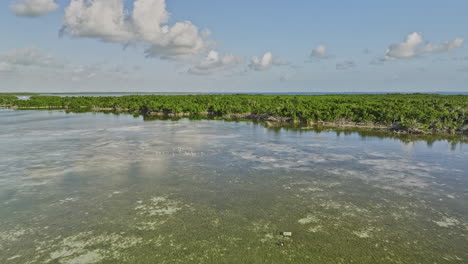 Key-West-Florida-Aérea-V30-Drone-Sobrevuelo-área-De-Claves-De-Barro-Que-Captura-El-Paisaje-Natural-De-Los-Ecosistemas-De-Arrecifes-De-Coral-Y-Manglares-En-Un-Ambiente-Costero-Tropical---Filmado-Con-Cine-Mavic-3---Febrero-De-2023