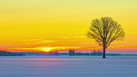 Lebendiger-Wintersonnenaufgang-Im-Zeitraffer-über-Schneebedeckter-Landschaft-Mit-Einsamem-Baum