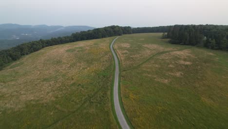 field-of-flowers-on-mountain-top-trail-in-appalachian-mountain-setting