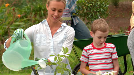 happy family gardening