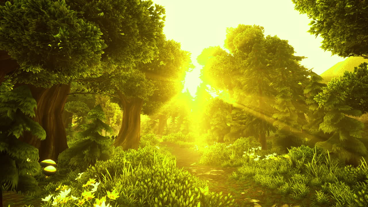 Sunlight beams through lush green forest creating a serene atmosphere