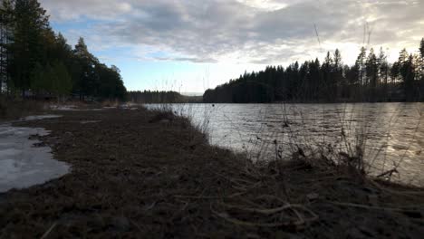 Water-Streaming-In-Rural-Landscape-In-Fir-Forest,-Static-View