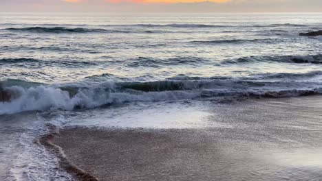 wide-view-of-beautiful-young-woman-walking-her-dog-taking-selfie-on-the-shore-of-the-beach-at-sunset-with-orange-sky