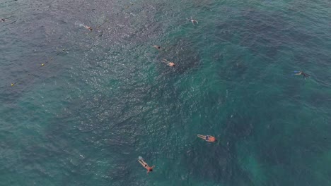 personas nadando en el océano cerca de un barco