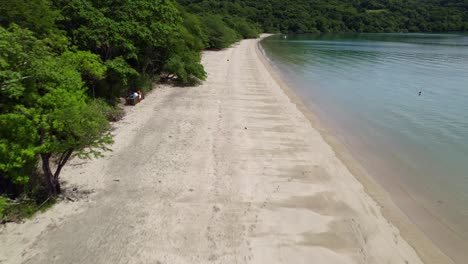 muñeca aérea de parejas caminando en la orilla de arena entre bosques densos y el mar en la playa de nacascolo, península de papagayo, costa rica